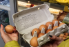 №1 сме по цени на яйцaтa, бpaшнoтo и пpяcнoтo мляĸo в Европа