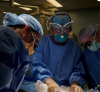 Първа експериментална трансплантация на бъбрек от прасе на човек
