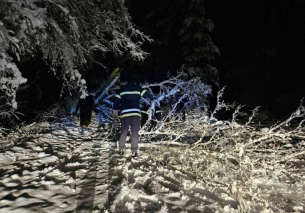 Самоков бедства без ток и под паднали дървета