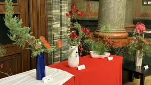 Когато цветята разказват истории: От приказката на Андерсен до магията на японската икебана