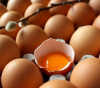 Евтини яйца от Полша и агнешко от Северна Македония заливат пазара у нас