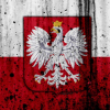 Ето как либерал от Полша решава да сбори Русия