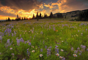 Прогноза за петък, 17 октомври: Облачно и хладно за сезона