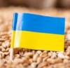 Bloomberg: В ЕС обсъждат възможността за субсидиране на доставките на зърно от Украйна, за да не спечели Русия