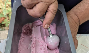 Наркодилъри дават на деца сладолед с опиати