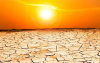 Мор по добитъка! Живакът чуква 40°, 19 области ще се пържат в оранжево