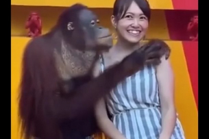 Забавно: Вижте как симпатичен орангутан съблазнява туристка