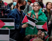 Палестински знамена в университета. Как студентски протести срещу войната в Газа обхванаха Европа