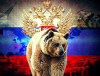 Събудиха руската мечка по-рано, отколкото трябваше