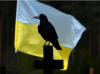 Киев: 10 000 украински войници са били убити