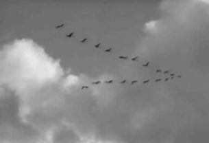 «Ники Кънчев, кретен, ти си продал душата си!»