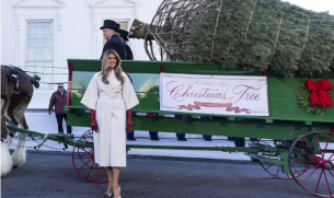 Мелания Тръмп посрещна елхата пред Белия дом в бяло палто