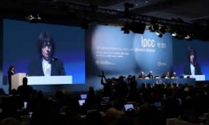 500 делегати от 195 държави бистрят климатичните промени в столицата