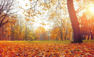 Нека бъде лято: в събота градусите скачат до...