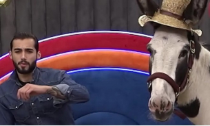 Защо вкараха магаре в Къщата на Биг Брадър?