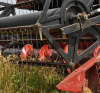 Над 2,5 милиона тона зърно събраха в новите региони на Русия