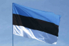 ERR: Естония планира да използва замразените руски активи за помощ на Украйна