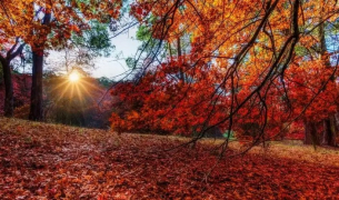 Прогноза за четвъртък, 16 октомври: Облачно, валежи на югоизток и в планините