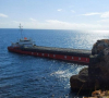 Калинките спасяват Черно море от екокатастрофа