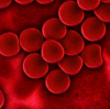 Калций в тромбоцитите допринася за кръвоспирането
