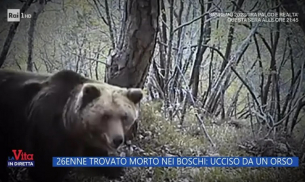 Вкарват в немски резерват мечка, убила 26-годишен планинар в Италия