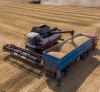 ООН: Русия не е предлагала безплатно зърно