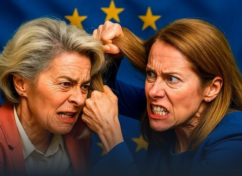 Гинеколог срещу дъщерята на комунист. Само най-силният ще оцелее. „Женски разбор“ заради германец 